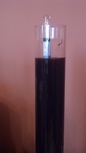Here's the hydrometer, still bobbing up and down a bit in the test tube. 